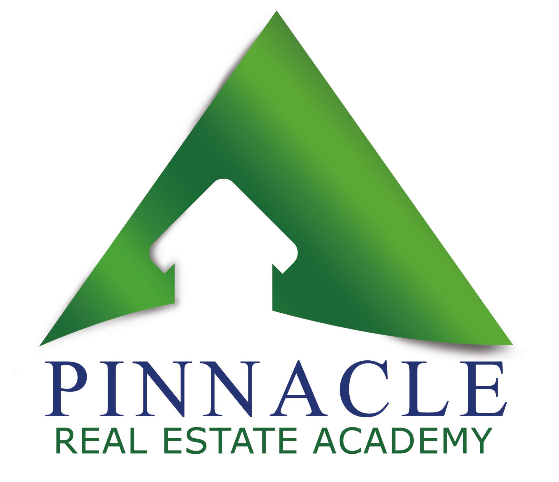 Pinnacle Real Estate Academy